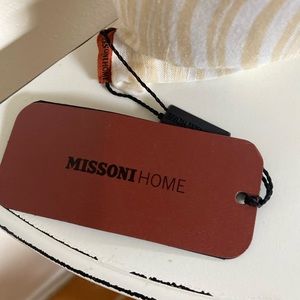 Missoni Home pair of velvet throw pillows